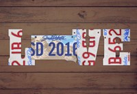 SD State Love Fine Art Print