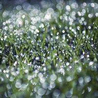 Hide And Seek Fine Art Print