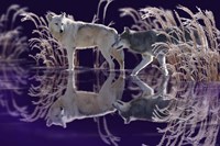 The Edge of Winter Fine Art Print