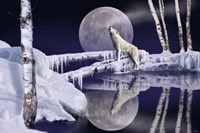 Open Water Fine Art Print