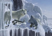 Ice Cascade Fine Art Print