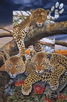 A Mother's Dream Fine Art Print