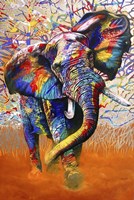African Colours Fine Art Print