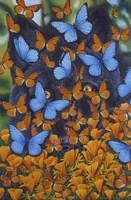 Autumn Butterflies Fine Art Print