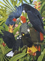 Back In Black Fine Art Print