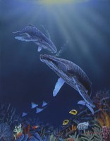 Blue Silence Fine Art Print