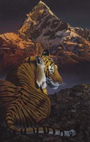 Cosmic Tiger Fine Art Print