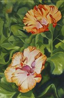 Hibiscus 2 Fine Art Print