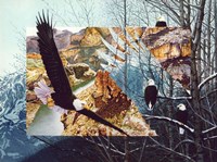 No Bounds No Barriers Fine Art Print