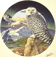 Northern Lights Fine Art Print