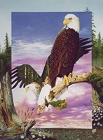 One With My Land Fine Art Print