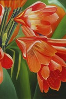 Orange 3 Fine Art Print