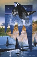 Orca Reflections Fine Art Print