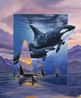Orca Song Fine Art Print