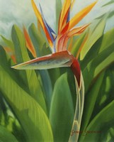 Paradise 2 Fine Art Print