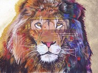 Rainbow Majesty Fine Art Print