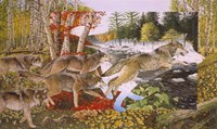 Seasons Of The Wolf Fine Art Print