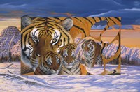 Siberian Sunset Fine Art Print