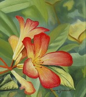 Small Red Flower Fine Art Print