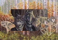 Step Lightly Fine Art Print