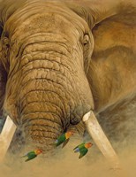 The Bull Fine Art Print