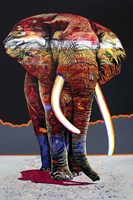 The Magnificent One Fine Art Print