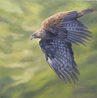 The Stoop Fine Art Print