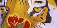 Tiger Eye Fine Art Print
