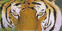 Tiger Eyes Fine Art Print