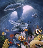 Twilight Fine Art Print