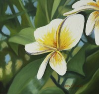 Whate Frn Fine Art Print