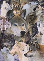 Wolves Alive Fine Art Print