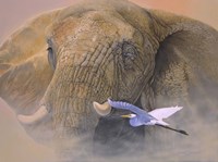 Young Matriarch Fine Art Print