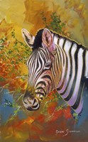 Zebra Days Fine Art Print