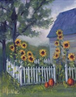 Ekonk Garden Fine Art Print