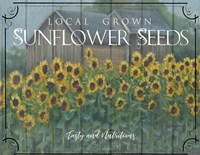 Sunflower Seeds Framed Print