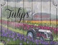 Tractoring Through The Tulips Fine Art Print
