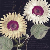 Midnight Sun I Fine Art Print