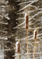 Catch My Drift Fine Art Print