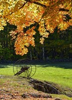 Color Wheel Fine Art Print