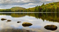Fall Reflection On Ricker Pond Fine Art Print