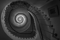 Finding Fibonacci Fine Art Print