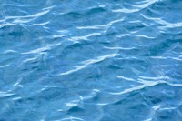 Gentle Ripples Fine Art Print