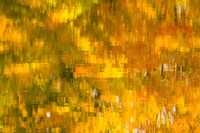 Glowing Waters Fine Art Print