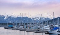 Harbor In Haines Fine Art Print