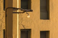 Horizontal Fine Art Print