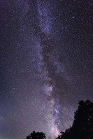 Milky Way Fine Art Print