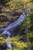 Moss Glen Falls In Autumn Fine Art Print