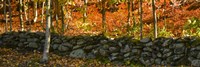 Old Rock Wall Fine Art Print