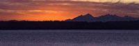 Olympic Mountain Sunset Fine Art Print